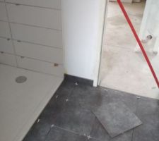 Carrelage sol SDB