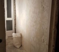 Future douche :
Retrait de la colle (suite et fin)
Rebouchage des trous