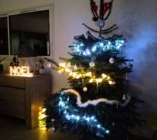1er sapin dans la maison