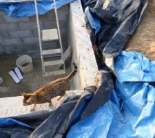 Inspection des travaux finis