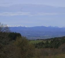Vue sur le Sancy