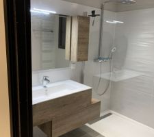 Meuble et paroi de douche
