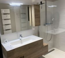 Meuble et paroi de douche