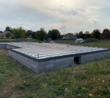 Vide sanitaire