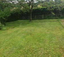 Visite du terrain. Un petit bout de paradis