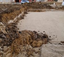 Herisson avant ferraillage