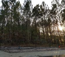 Le terrain avant d&eacute;boisement