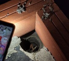 Mise en place des planelles sur bandes bitumineuses