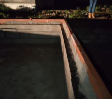 Mise en place des planelles sur bandes bitumineuses