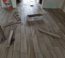 Carrelage imitation parquet RDC