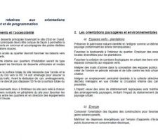 LES ORIENTATIONS D'AMENAGEMENT ET DE PROGRAMMATION
