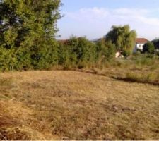 Voici les photos lors de l'achat de notre terrain