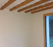 Platre fini dans Chambre