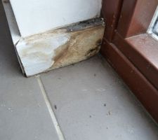 Les plinthes autour des baies vitrées INTERNORM (posées par GLV) pourrissent, en attendant un reglement par GLV