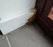 Les plinthes autour des baies vitrées INTERNORM (posées par GLV) pourrissent, en attendant un reglement par GLV.