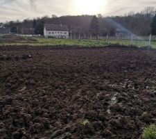 Mise à niveau du jardin