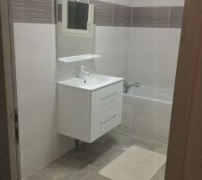 Lavabo installé par nous même