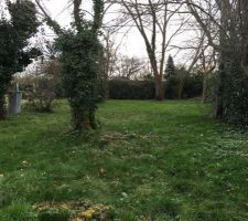 Voici une photo du terrain