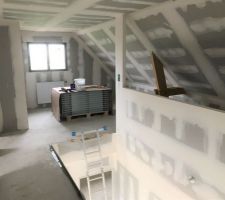 Pr&ecirc;t &agrave; peindre : pallier + coursive &eacute;tage