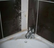 Intervention du constructeur dans les WC de l'entr&eacute;e pour remplacer un carreau d&eacute;fectueux.