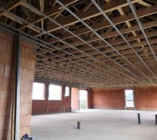 Suspentes et Fourrures pour le plafond