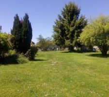 Une partie du terrain