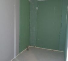 Salle de bain de l'étage, placo vert pour la baignoire