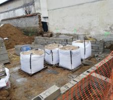 D&eacute;but Vide sanitaire