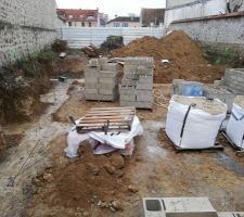 D&eacute;but Vide sanitaire