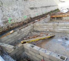 Vide sanitaire terminé