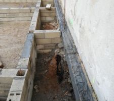 Vide sanitaire terminé