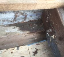 Infiltration sous le solin fixé en applique en partie haute du toit(toit à 1 pente. Ceci est un exemple car on retrouve ces infiltrations peu partout (environ 25m de solin)