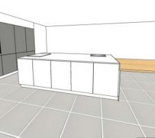 Vue simplifiée de la cuisine