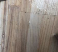 Et en dessou du velux la mare d'eau sur le plancher
