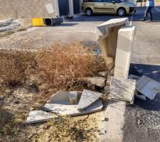 Petit surprise sur notre terrain