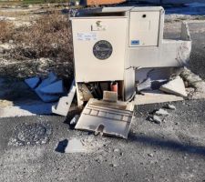 Petit surprise sur notre terrain