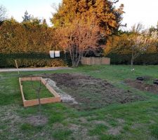 Début mise en place potager