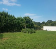 Terrain : partie jardin