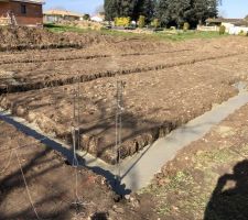 - Terrassement 
- Ferraillage 
- Semelle filante