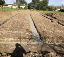 - Terrassement 
- Ferraillage 
- Semelle filante