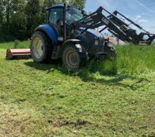 Tonte de la pelouse :)