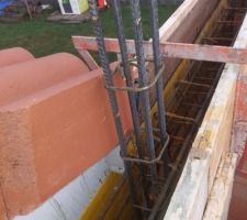 Enchevêtrement avec la gouttière de la maison.