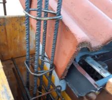 Enchevêtrement avec la gouttière de la maison.