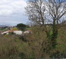 Vue de la fenêtre de la chambre de notre fille