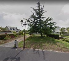 Le terrain tel qu'il &eacute;tait &agrave; l'acquisition,le c&egrave;dre en moins.