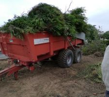 Nettoyage du Terrain qui &eacute;tait &agrave; notre charge