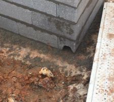 Vide sanitaire