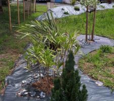 Préparation d'un site jardin zen !