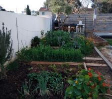 Potager au printemps