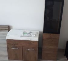Meubles SDB